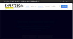 Desktop Screenshot of expertseo.ie